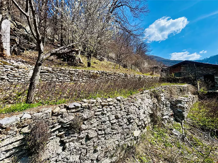Immagine 49 di Casa indipendente in vendita  in Frazione Barchi  12 a Garessio
