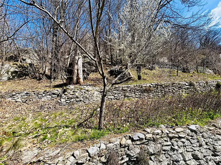 Immagine 50 di Casa indipendente in vendita  in Frazione Barchi  12 a Garessio
