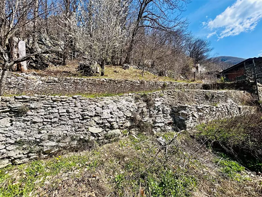 Immagine 51 di Casa indipendente in vendita  in Frazione Barchi  12 a Garessio