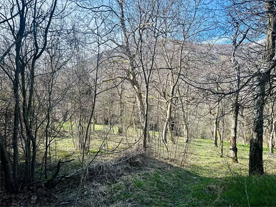Immagine 26 di Rustico / casale in vendita  in Frazione Chionea a Ormea