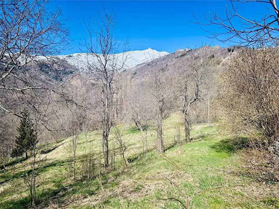 Immagine 24 di Rustico / casale in vendita  in Frazione Chionea a Ormea