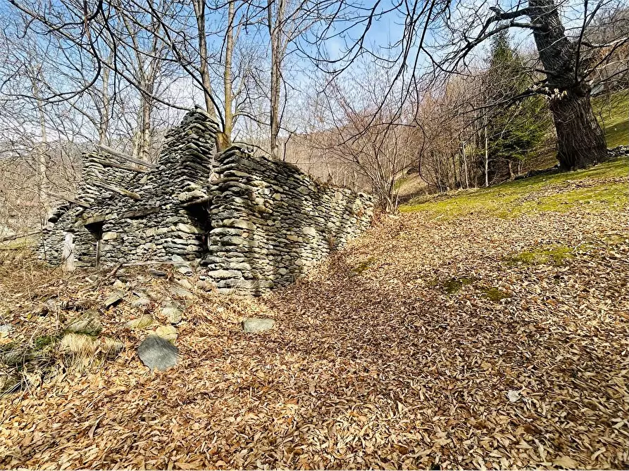 Immagine 17 di Rustico / casale in vendita  in Frazione Valdarmella  a Ormea