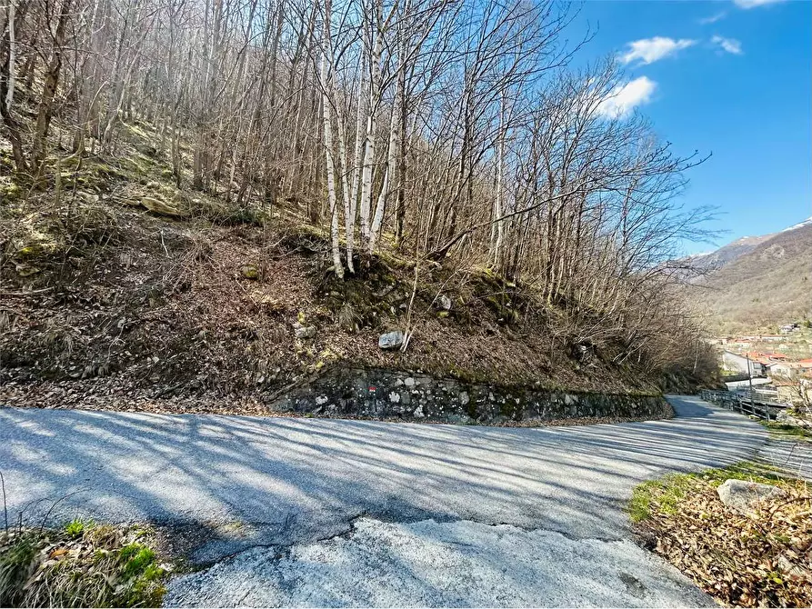 Immagine 9 di Terreno agricolo in vendita  in Frazione  Barchi a Ormea