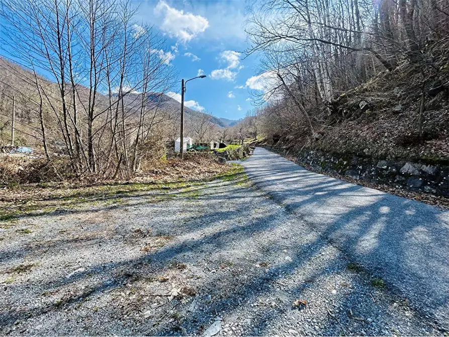 Immagine 10 di Terreno agricolo in vendita  in Frazione  Barchi a Ormea