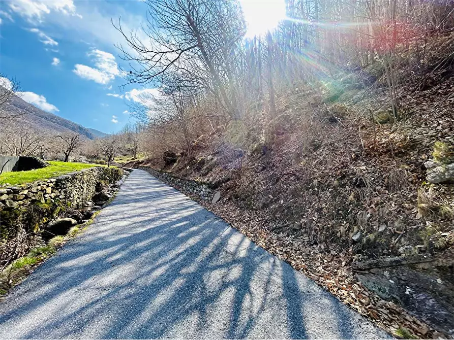 Immagine 13 di Terreno agricolo in vendita  in Frazione  Barchi a Ormea