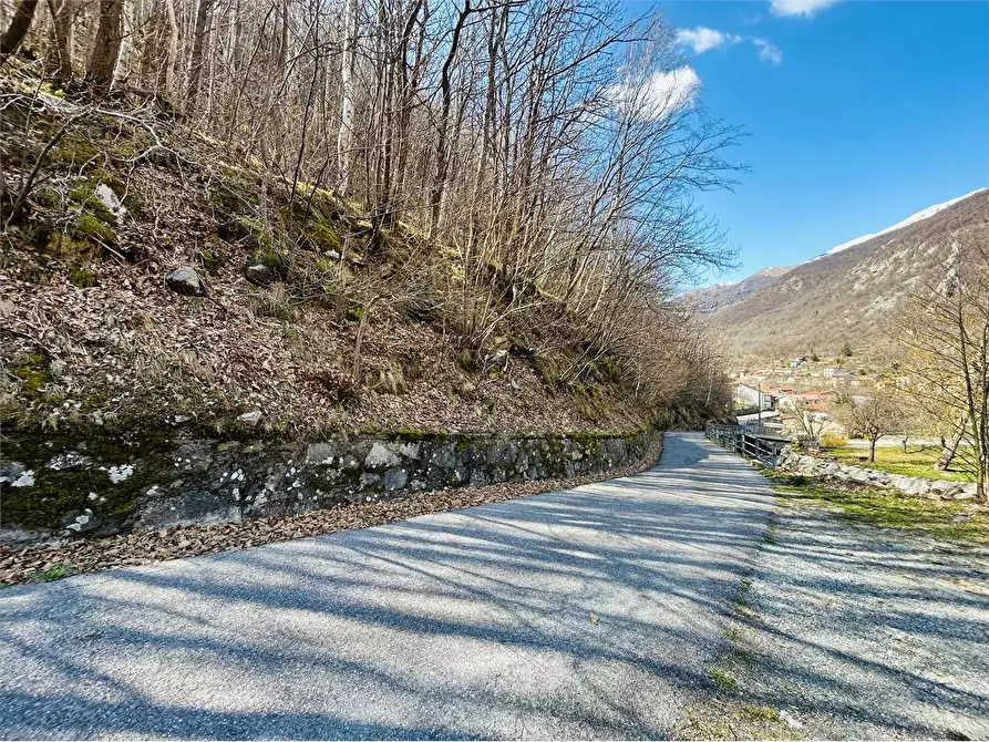 Immagine 8 di Terreno agricolo in vendita  in Frazione  Barchi a Ormea