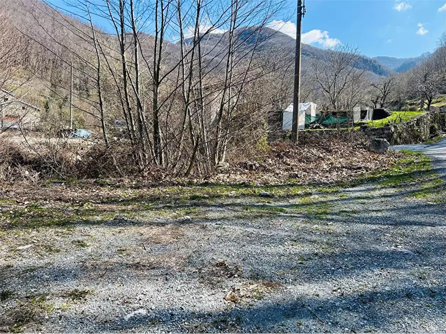Immagine 11 di Terreno agricolo in vendita  in Frazione  Barchi a Ormea