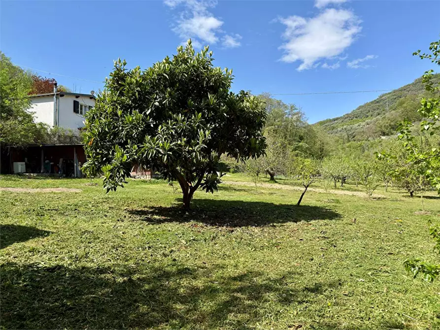 Immagine 52 di Villa in vendita  in Regione Prati Rossi 1 a Vessalico