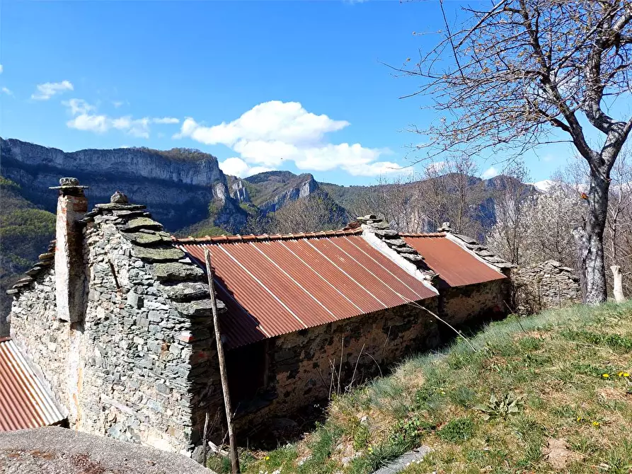 Immagine 5 di Casa indipendente in vendita  in Borgata Sen Frazione Quarzina a Ormea