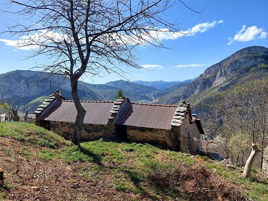 Immagine 3 di Casa indipendente in vendita  in Borgata Sen Frazione Quarzina a Ormea