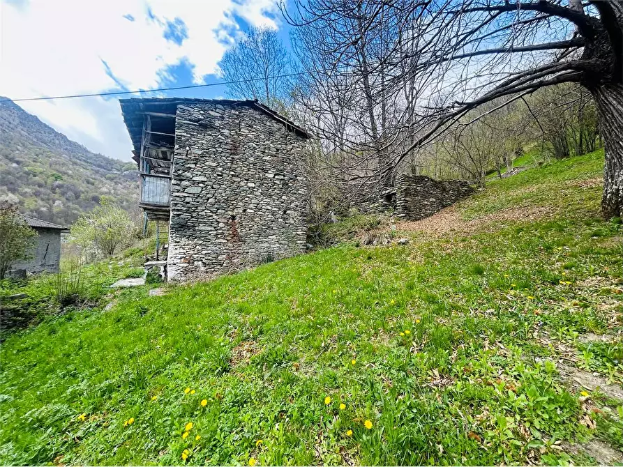 Immagine 11 di Rustico / casale in vendita  in Frazione Valdarmella  a Ormea