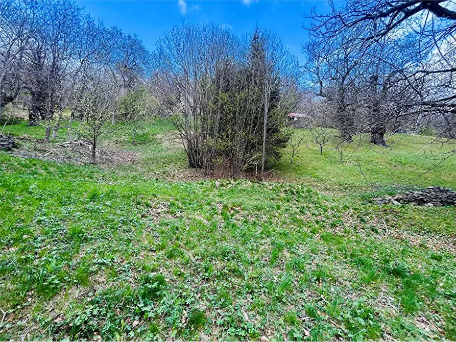 Immagine 13 di Rustico / casale in vendita  in Frazione Valdarmella  a Ormea