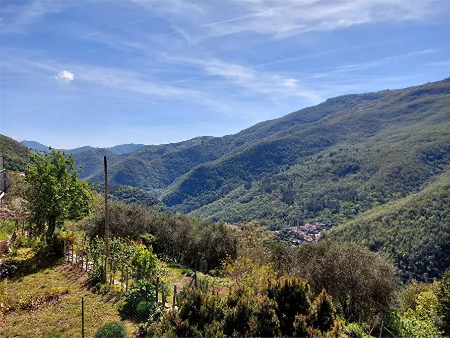 Immagine 14 di Maisonette in vendita  in Via Buenos Aires 3 a Rezzo