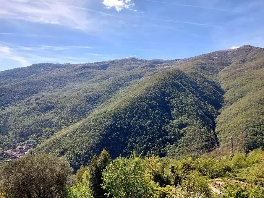 Immagine 15 di Maisonette in vendita  in Via Buenos Aires 3 a Rezzo