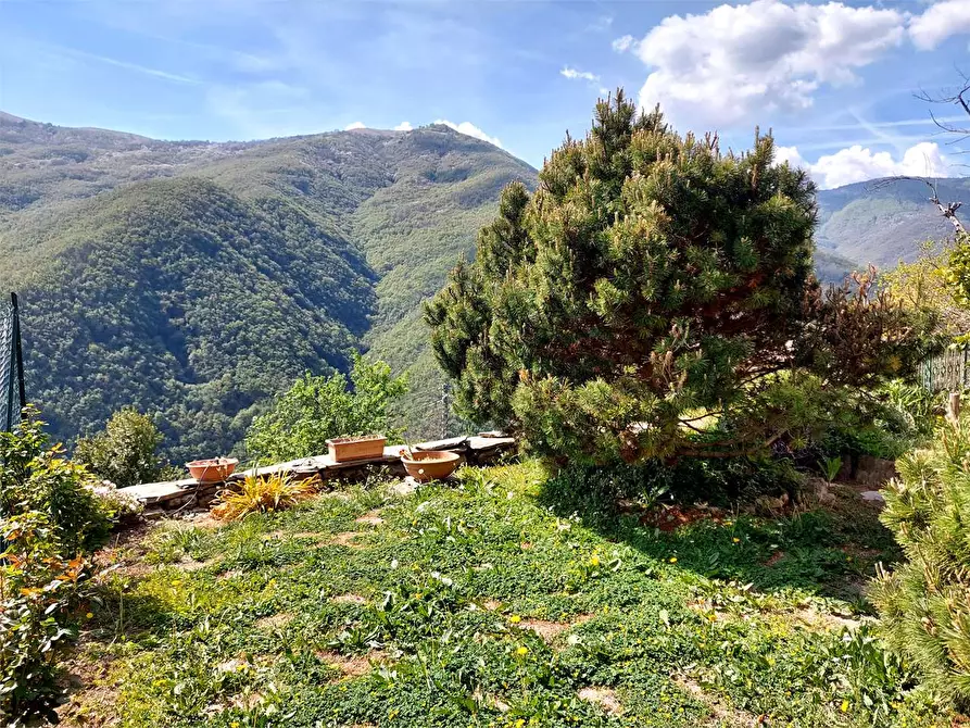 Immagine 54 di Maisonette in vendita  in Via Buenos Aires 3 a Rezzo