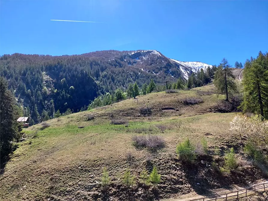 Immagine 12 di Appartamento in vendita  in Frazione Monesi di Triora a Triora
