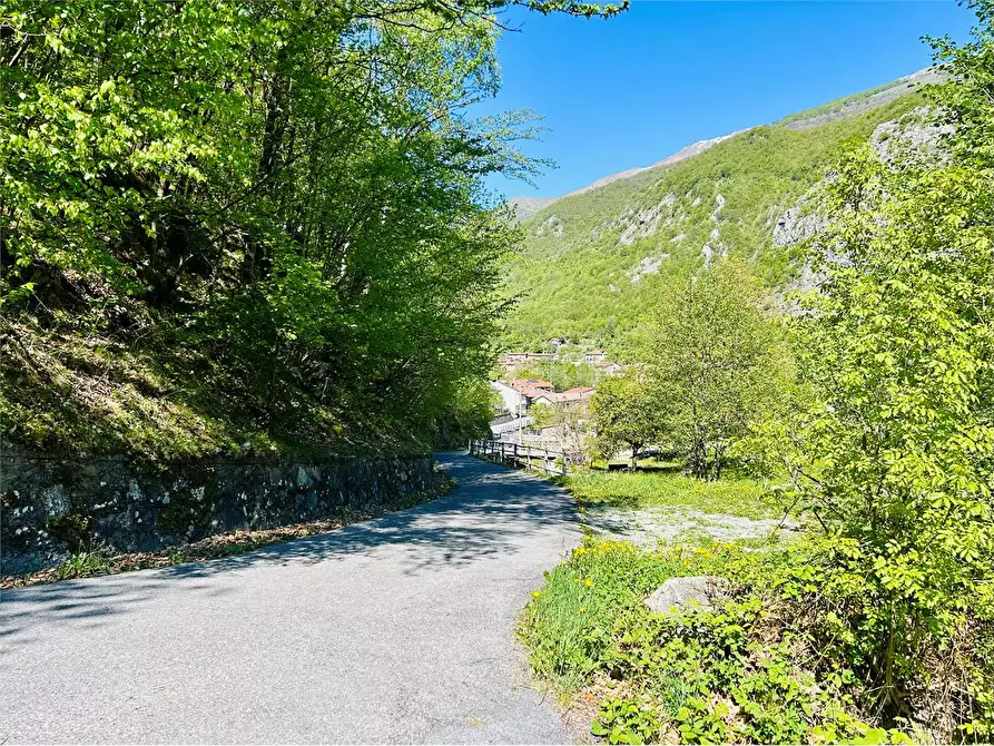 Immagine 2 di Terreno agricolo in vendita  in Frazione  Barchi a Ormea