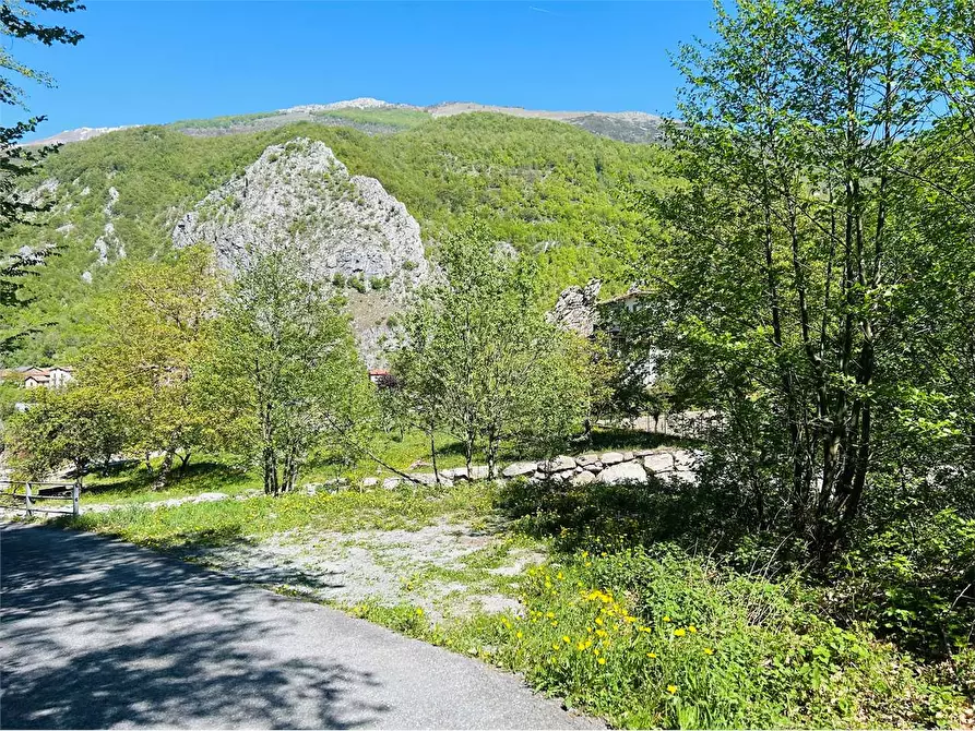 Immagine 6 di Terreno agricolo in vendita  in Frazione  Barchi a Ormea