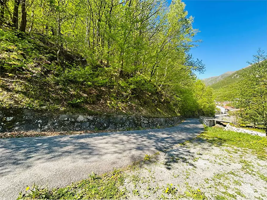 Immagine 1 di Terreno agricolo in vendita  in Frazione  Barchi a Ormea