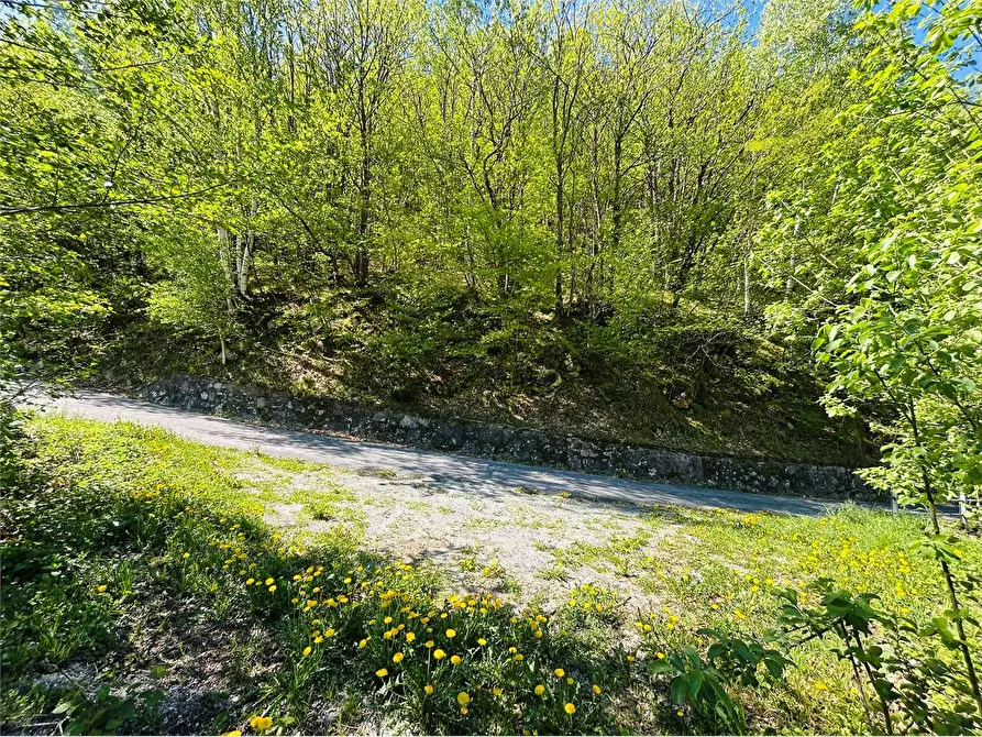 Immagine 3 di Terreno agricolo in vendita  in Frazione  Barchi a Ormea