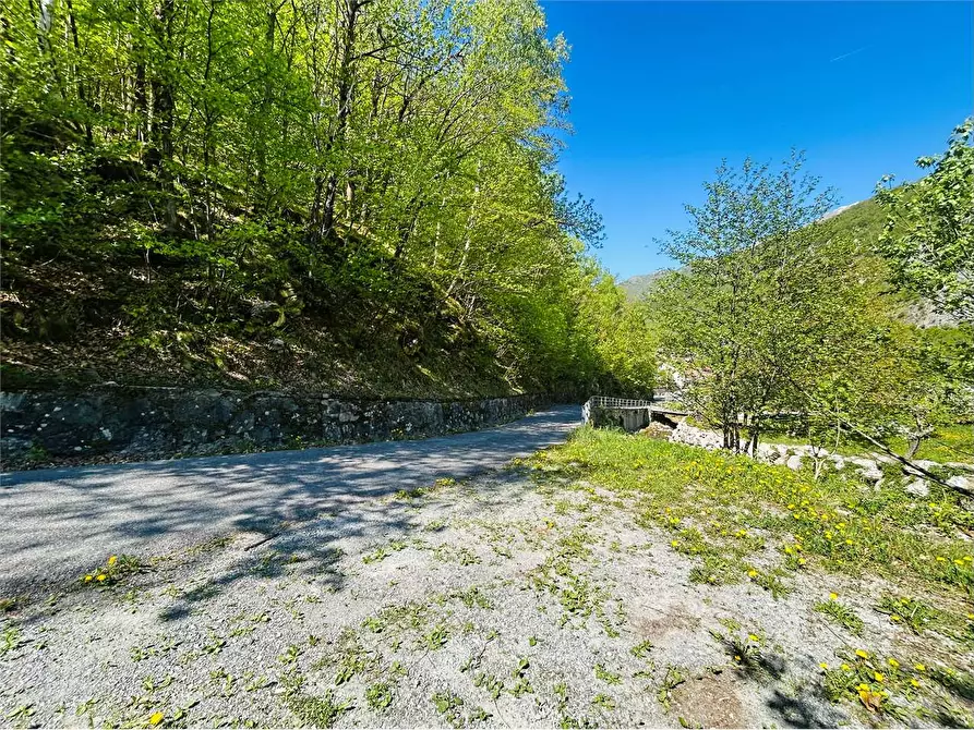 Immagine 5 di Terreno agricolo in vendita  in Frazione  Barchi a Ormea