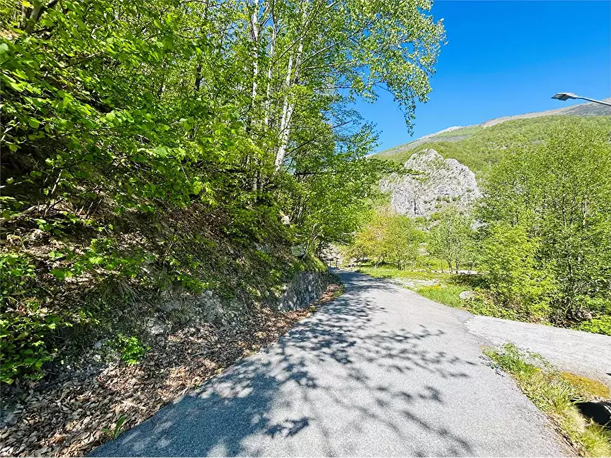 Immagine 4 di Terreno agricolo in vendita  in Frazione  Barchi a Ormea