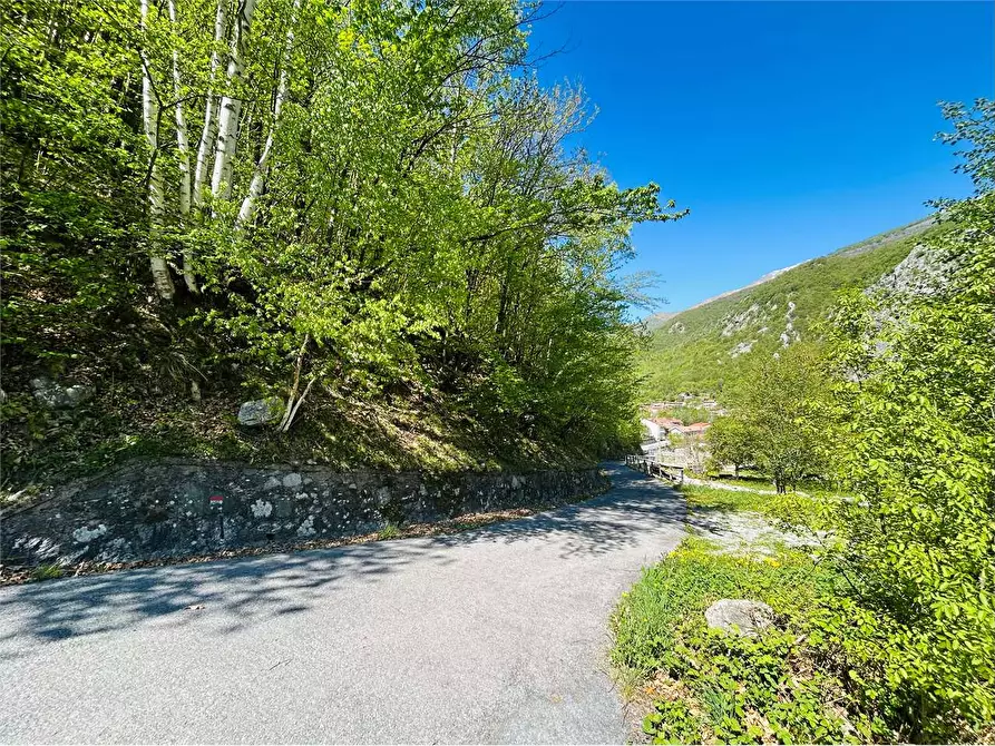 Immagine 7 di Terreno agricolo in vendita  in Frazione  Barchi a Ormea