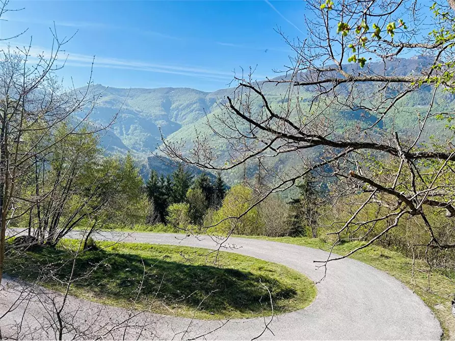 Immagine 1 di Terreno agricolo in vendita  in Frazione Eca  a Ormea