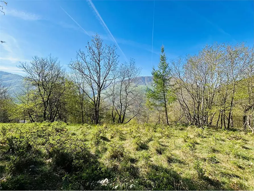 Immagine 2 di Terreno agricolo in vendita  in Frazione Eca  a Ormea
