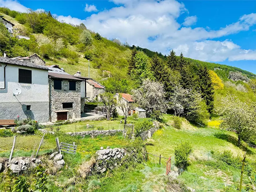 Immagine 46 di Casa indipendente in vendita  a Ormea