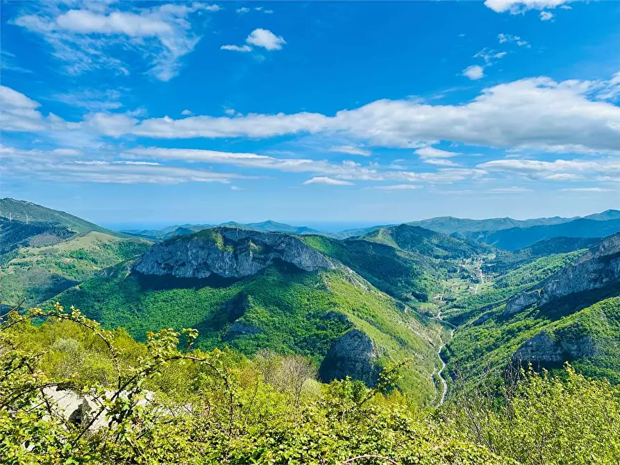 Immagine 48 di Casa indipendente in vendita  a Ormea