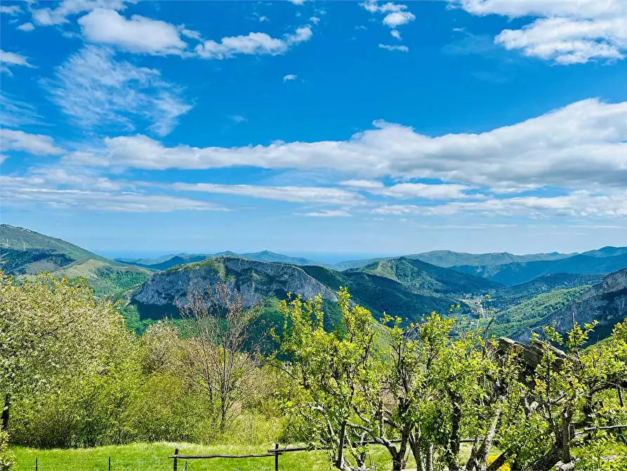 Immagine 15 di Casa indipendente in vendita  a Ormea
