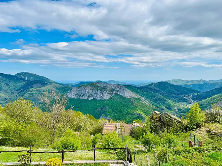 Immagine 43 di Casa indipendente in vendita  a Ormea