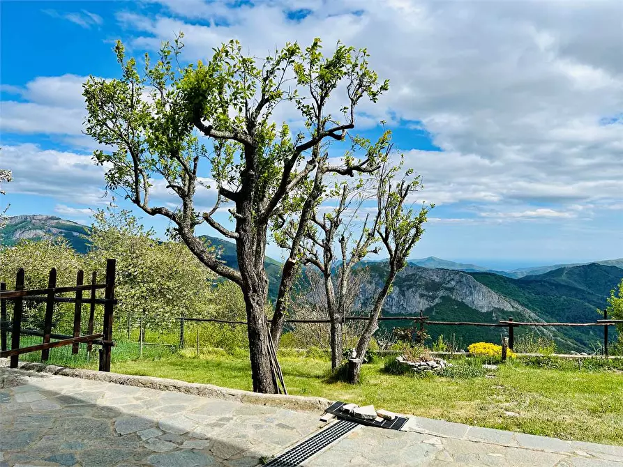 Immagine 42 di Casa indipendente in vendita  a Ormea