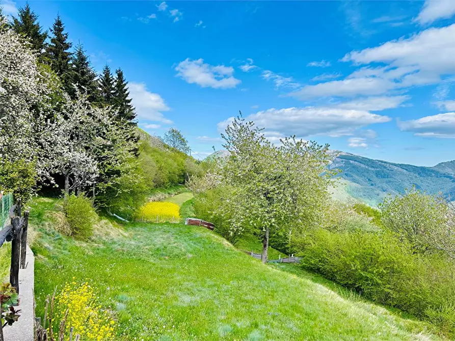 Immagine 47 di Casa indipendente in vendita  a Ormea
