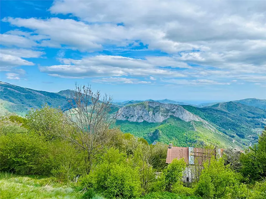 Immagine 25 di Casa indipendente in vendita  a Ormea