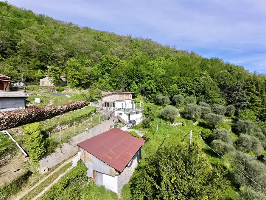 Immagine 1 di Villa in vendita  in Strada provinciale Lovegno 11 a Pieve Di Teco