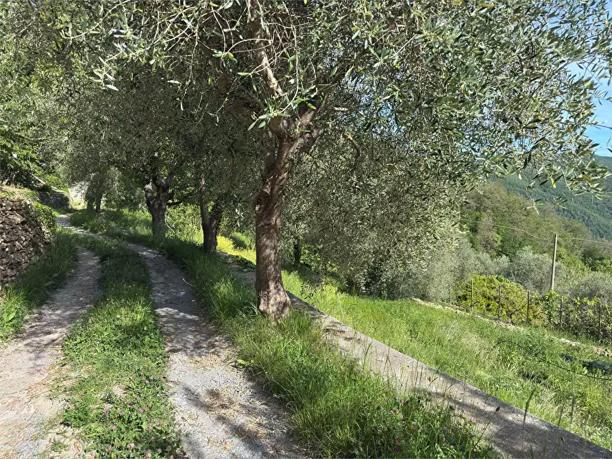 Immagine 56 di Villa in vendita  in Strada provinciale Lovegno 11 a Pieve Di Teco