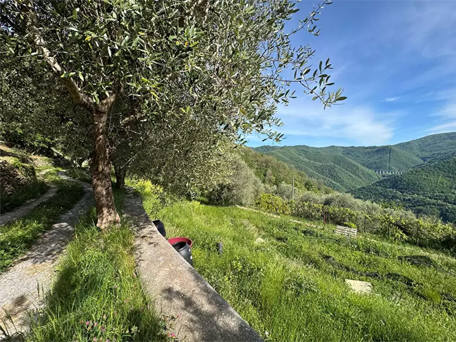Immagine 57 di Villa in vendita  in Strada provinciale Lovegno 11 a Pieve Di Teco