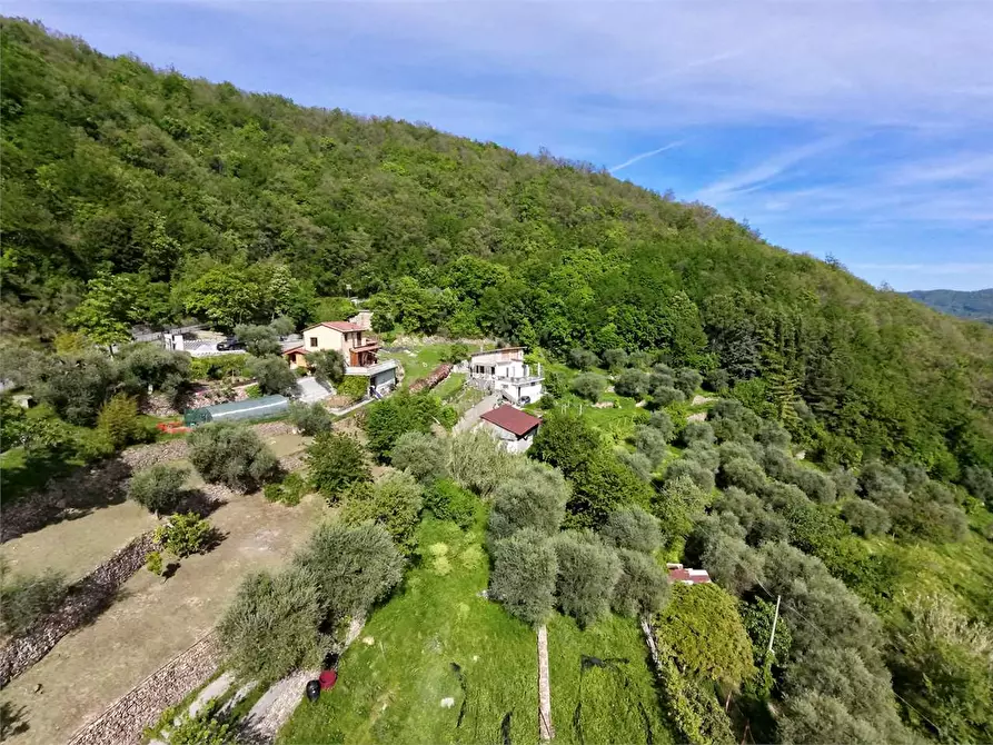 Immagine 10 di Villa in vendita  in Strada provinciale Lovegno 11 a Pieve Di Teco