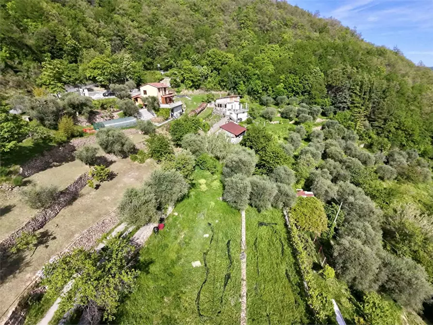 Immagine 11 di Villa in vendita  in Strada provinciale Lovegno 11 a Pieve Di Teco