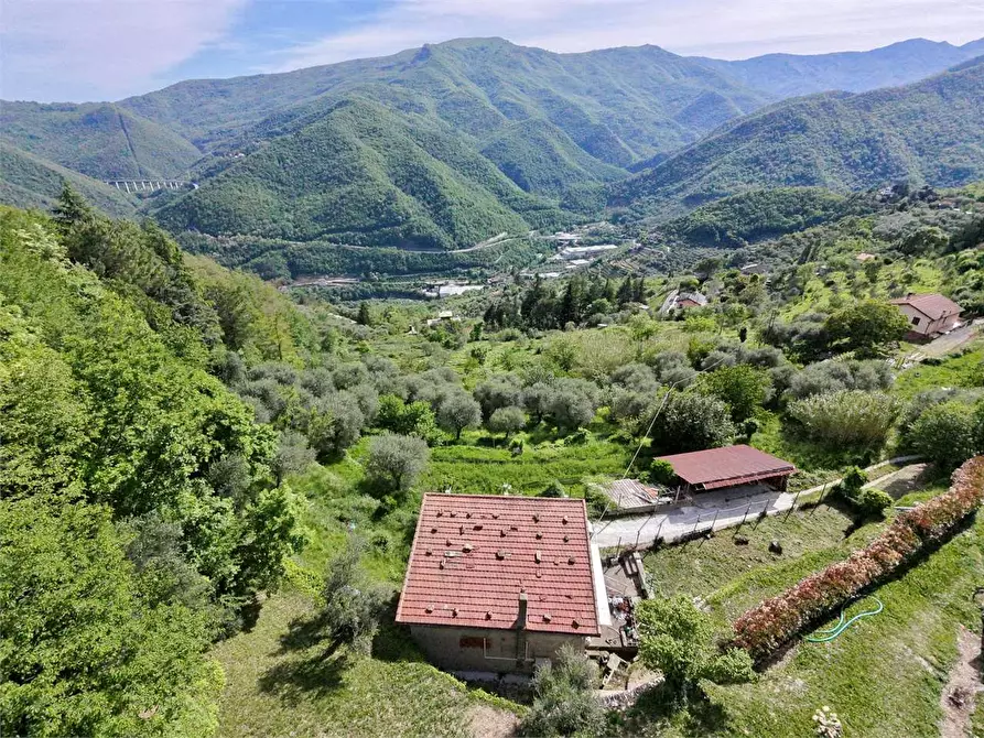 Immagine 50 di Villa in vendita  in Strada provinciale Lovegno 11 a Pieve Di Teco