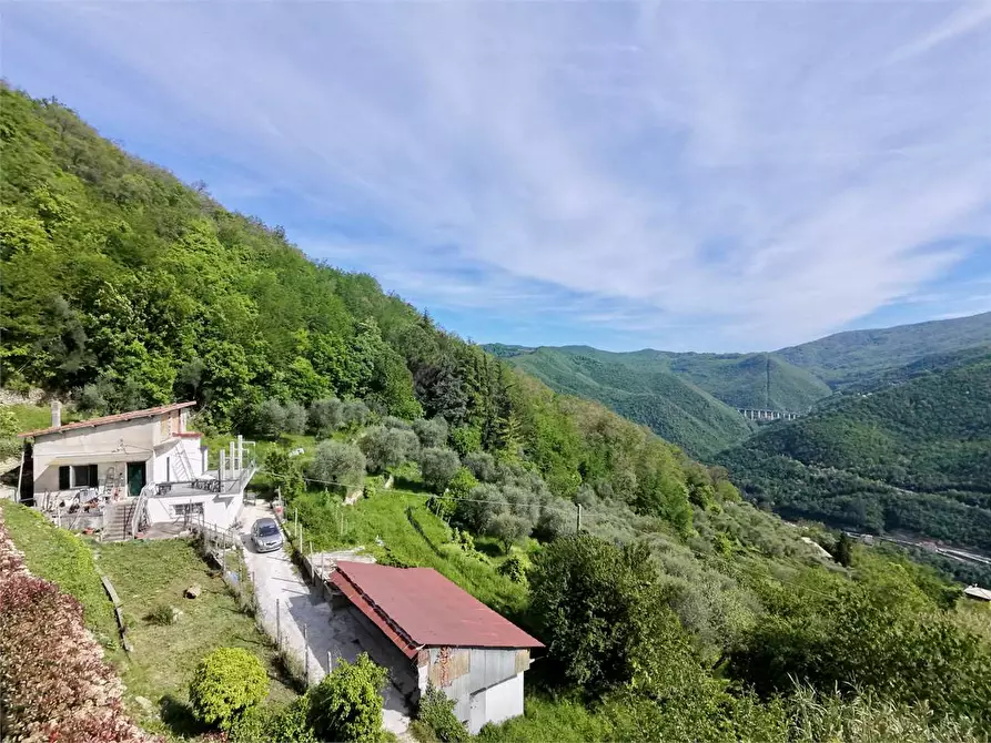 Immagine 4 di Villa in vendita  in Strada provinciale Lovegno 11 a Pieve Di Teco