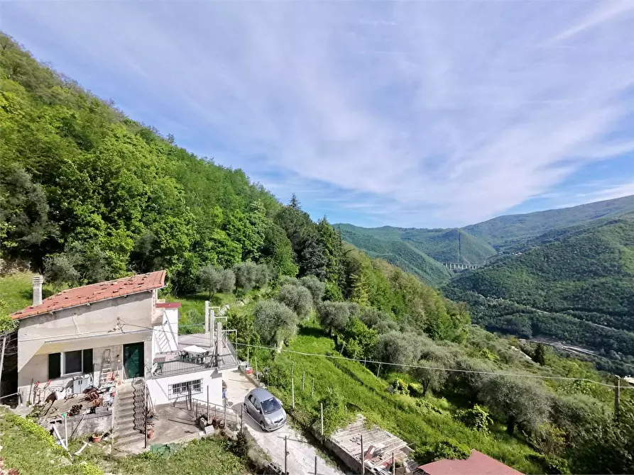 Immagine 3 di Villa in vendita  in Strada provinciale Lovegno 11 a Pieve Di Teco