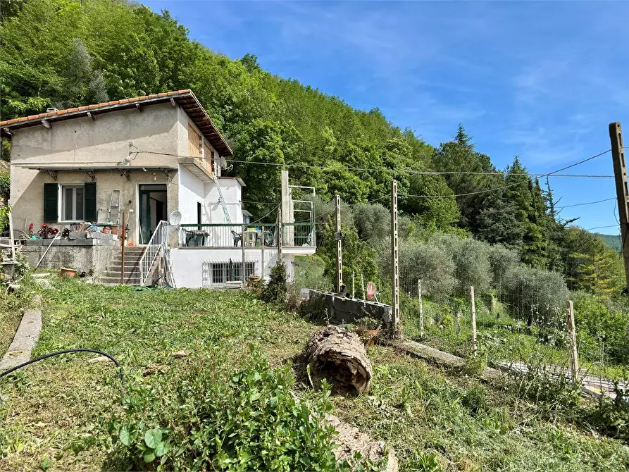 Immagine 13 di Villa in vendita  in Strada provinciale Lovegno 11 a Pieve Di Teco