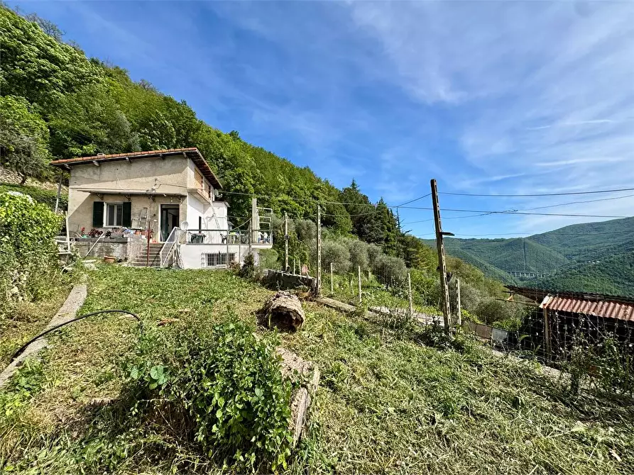 Immagine 12 di Villa in vendita  in Strada provinciale Lovegno 11 a Pieve Di Teco