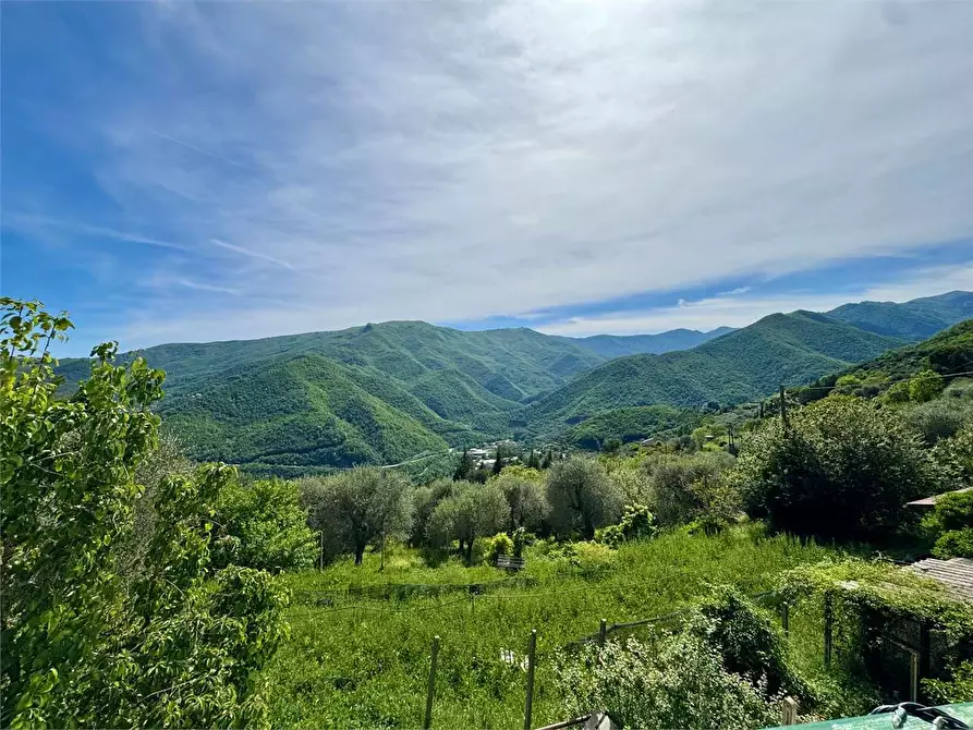 Immagine 35 di Villa in vendita  in Strada provinciale Lovegno 11 a Pieve Di Teco