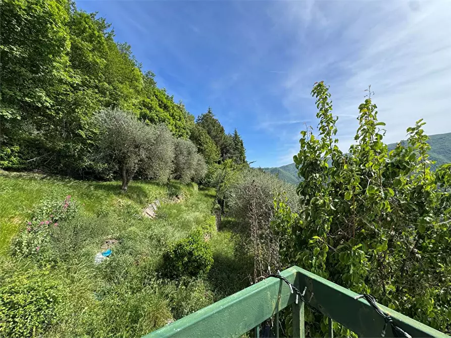 Immagine 36 di Villa in vendita  in Strada provinciale Lovegno 11 a Pieve Di Teco