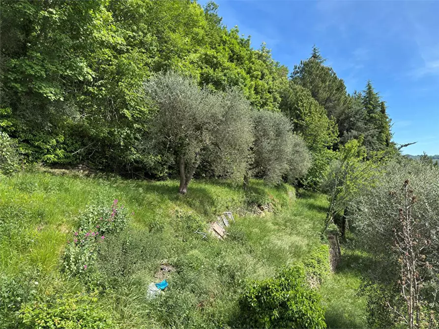 Immagine 38 di Villa in vendita  in Strada provinciale Lovegno 11 a Pieve Di Teco