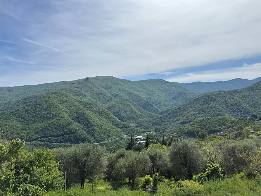 Immagine 37 di Villa in vendita  in Strada provinciale Lovegno 11 a Pieve Di Teco
